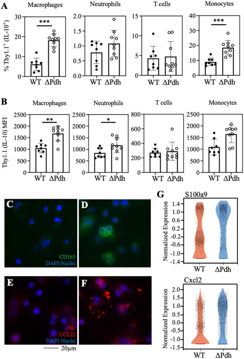 https://cdn.ncbi.nlm.nih.gov/pmc/blobs/e0cd/10775361/ae9594413d2b/nihpp-rs3689163v1-f0004.jpg