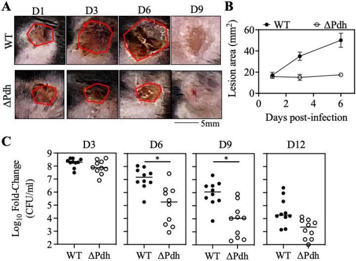 https://cdn.ncbi.nlm.nih.gov/pmc/blobs/e0cd/10775361/e4ddd2ffd300/nihpp-rs3689163v1-f0001.jpg