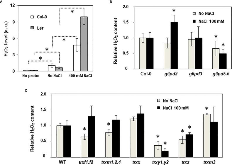 https://cdn.ncbi.nlm.nih.gov/pmc/blobs/e0ce/10274509/4f0137d3ac06/fpls-14-1179112-g007.jpg