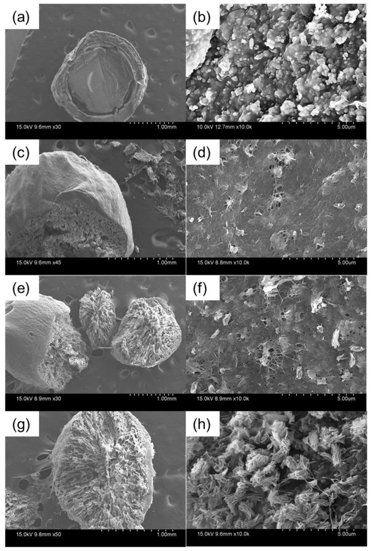 https://cdn.ncbi.nlm.nih.gov/pmc/blobs/e0ce/8538019/1c3de0ae5b67/molecules-26-06127-g001.jpg