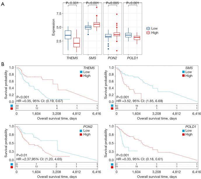https://cdn.ncbi.nlm.nih.gov/pmc/blobs/e0d0/11912054/074c0fa3b4ce/tcr-14-02-966-f4.jpg