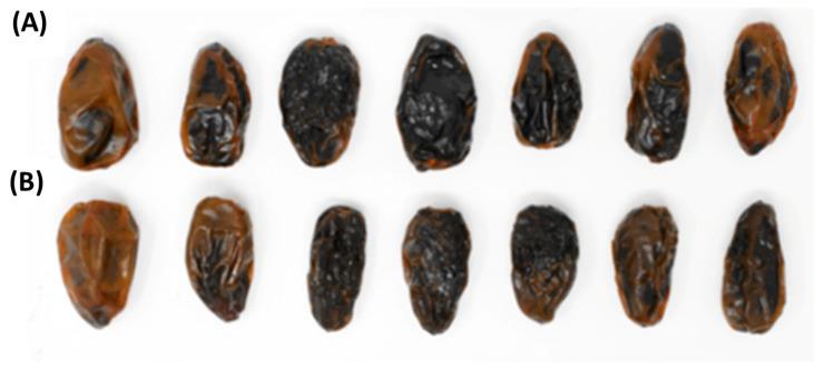https://cdn.ncbi.nlm.nih.gov/pmc/blobs/e0d2/10379225/9d65cb3ee29c/foods-12-02659-g001.jpg