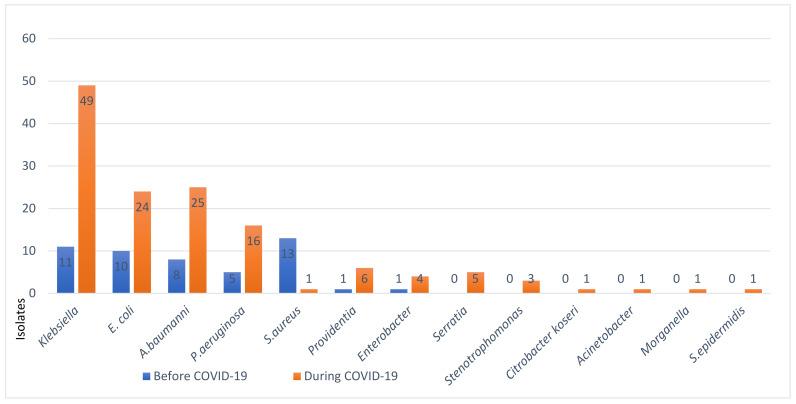 https://cdn.ncbi.nlm.nih.gov/pmc/blobs/e0d3/10893479/ac8b29921c36/viruses-16-00227-g004.jpg