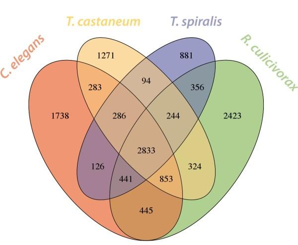 https://cdn.ncbi.nlm.nih.gov/pmc/blobs/e0d3/3890508/1ab1441dd82f/1471-2164-14-923-2.jpg