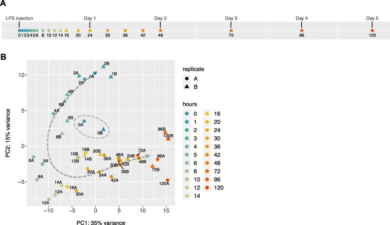 https://cdn.ncbi.nlm.nih.gov/pmc/blobs/e0d3/8074482/2d4292bc575b/12864_2021_7593_Fig1_HTML.jpg