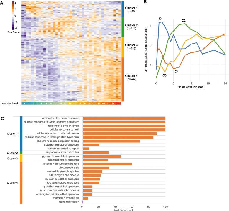 https://cdn.ncbi.nlm.nih.gov/pmc/blobs/e0d3/8074482/4c2f9656644d/12864_2021_7593_Fig5_HTML.jpg