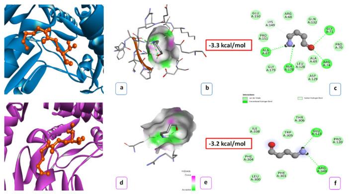 https://cdn.ncbi.nlm.nih.gov/pmc/blobs/e0d6/8269274/3f99ee5d21cf/ijms-22-06968-g004.jpg