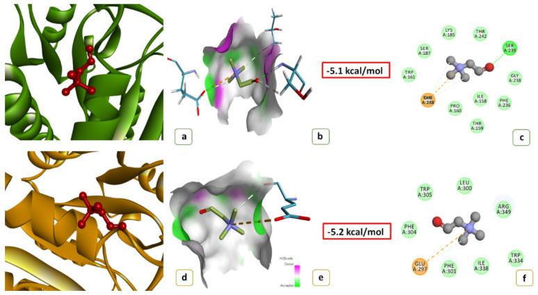 https://cdn.ncbi.nlm.nih.gov/pmc/blobs/e0d6/8269274/47aeae43d8b5/ijms-22-06968-g003.jpg