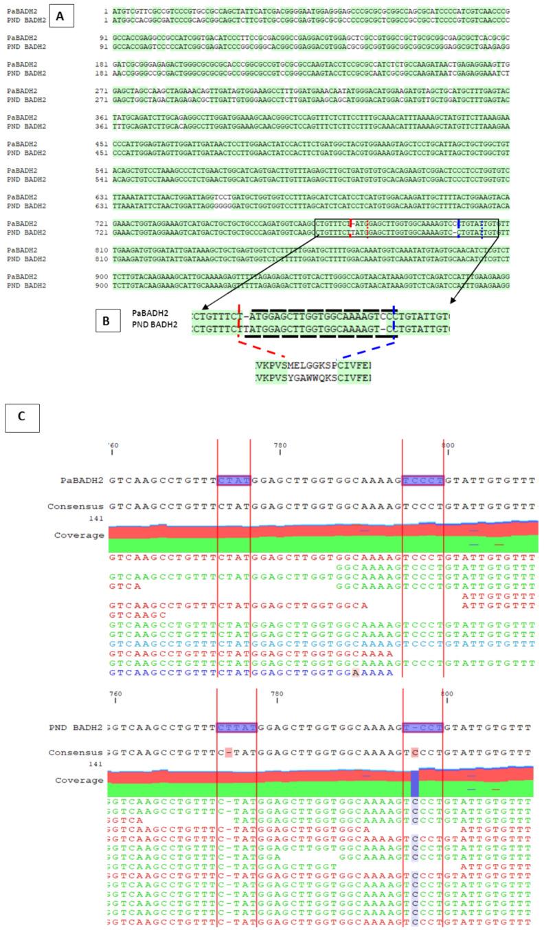 https://cdn.ncbi.nlm.nih.gov/pmc/blobs/e0d6/8269274/a1e52dba69cd/ijms-22-06968-g001.jpg