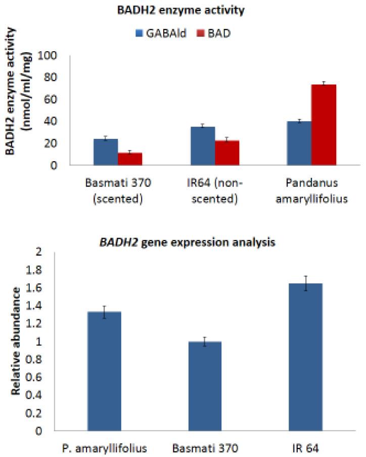 https://cdn.ncbi.nlm.nih.gov/pmc/blobs/e0d6/8269274/b11458132567/ijms-22-06968-g005.jpg