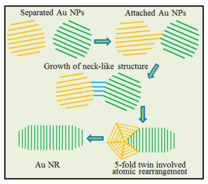 https://cdn.ncbi.nlm.nih.gov/pmc/blobs/e0da/10005194/41ae6b5a07c6/nanomaterials-13-00796-g004.jpg