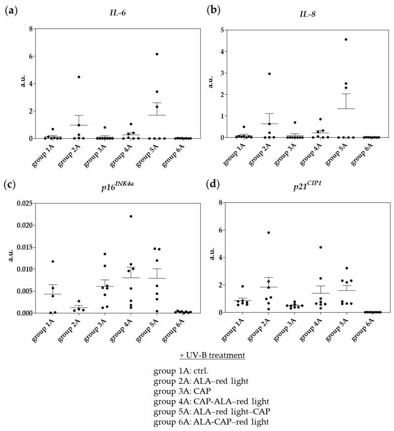 https://cdn.ncbi.nlm.nih.gov/pmc/blobs/e0da/12196468/7d289e9e747d/pharmaceuticals-18-00907-g008.jpg