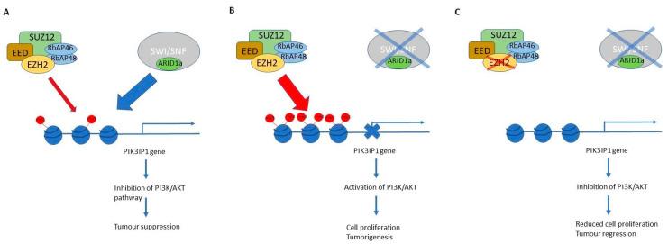 https://cdn.ncbi.nlm.nih.gov/pmc/blobs/e0db/10815128/5a3e6af32ec7/genes-15-00005-g009.jpg