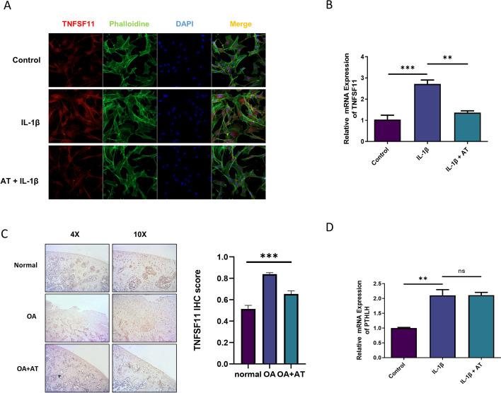https://cdn.ncbi.nlm.nih.gov/pmc/blobs/e0dc/9331798/8cb2be17309f/11658_2022_365_Fig3_HTML.jpg
