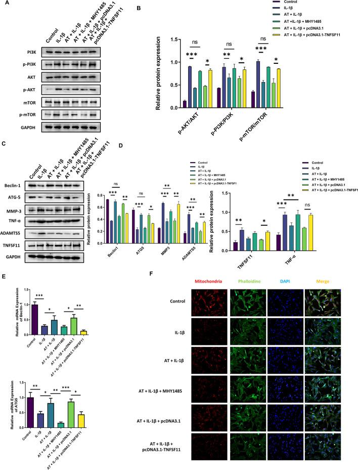https://cdn.ncbi.nlm.nih.gov/pmc/blobs/e0dc/9331798/982255238ecb/11658_2022_365_Fig5a_HTML.jpg