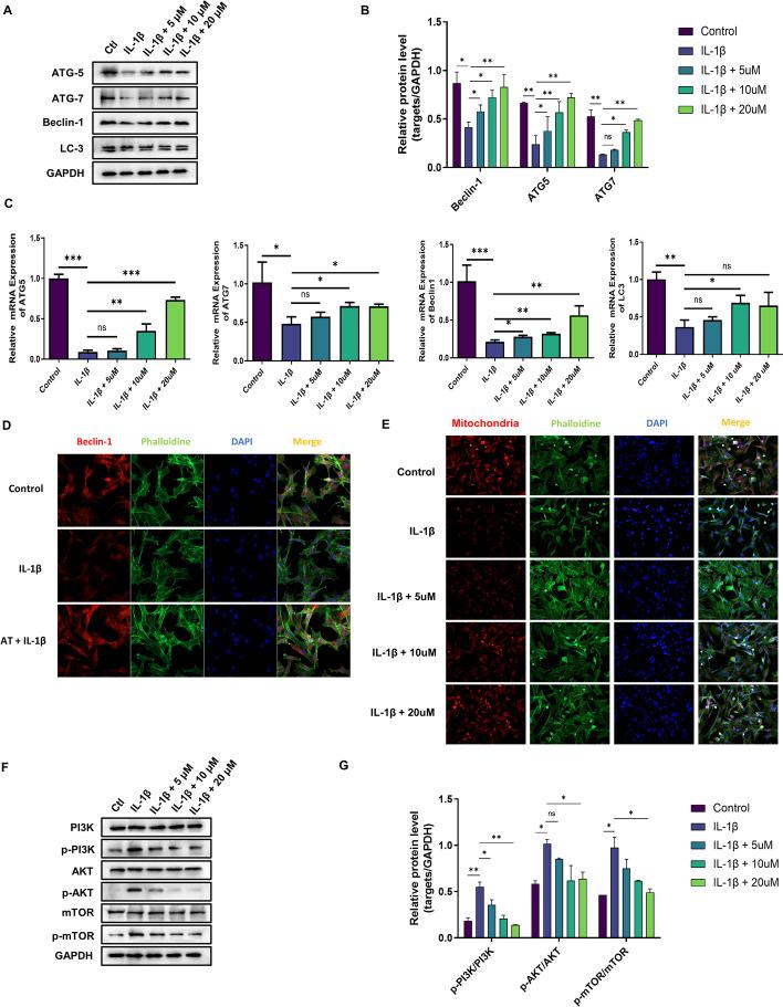 https://cdn.ncbi.nlm.nih.gov/pmc/blobs/e0dc/9331798/d1c29cf3dd0e/11658_2022_365_Fig4_HTML.jpg