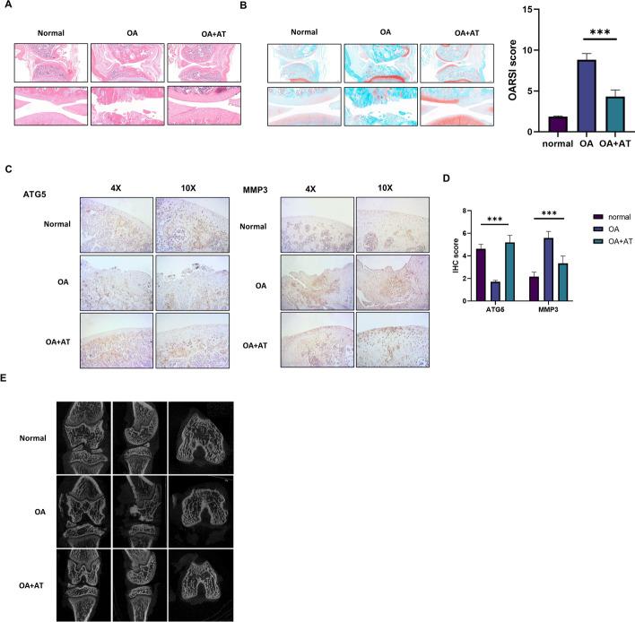 https://cdn.ncbi.nlm.nih.gov/pmc/blobs/e0dc/9331798/df5041ce0c74/11658_2022_365_Fig6_HTML.jpg