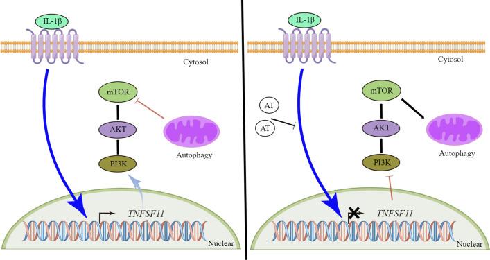 https://cdn.ncbi.nlm.nih.gov/pmc/blobs/e0dc/9331798/faf65d6e831c/11658_2022_365_Fig7_HTML.jpg