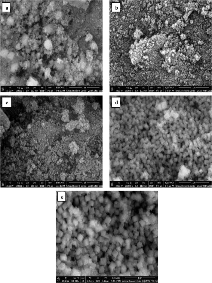 https://cdn.ncbi.nlm.nih.gov/pmc/blobs/e0dd/7096760/3756ae99c481/gr5.jpg