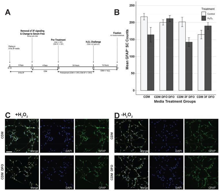 https://cdn.ncbi.nlm.nih.gov/pmc/blobs/e0e0/11940984/b34532f5bea7/cells-14-00461-g004.jpg