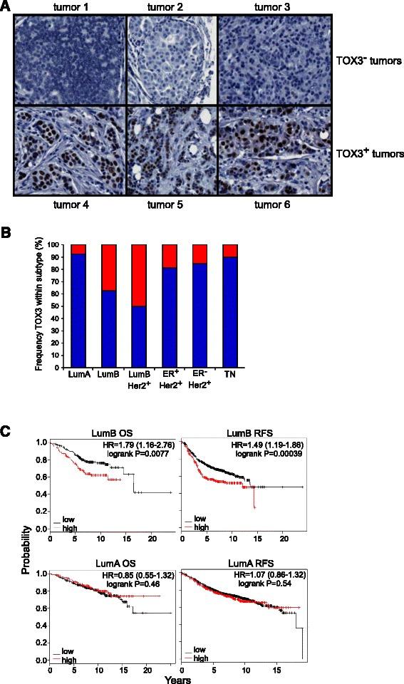 https://cdn.ncbi.nlm.nih.gov/pmc/blobs/e0e3/4324787/422a642c555a/12885_2015_1018_Fig3_HTML.jpg
