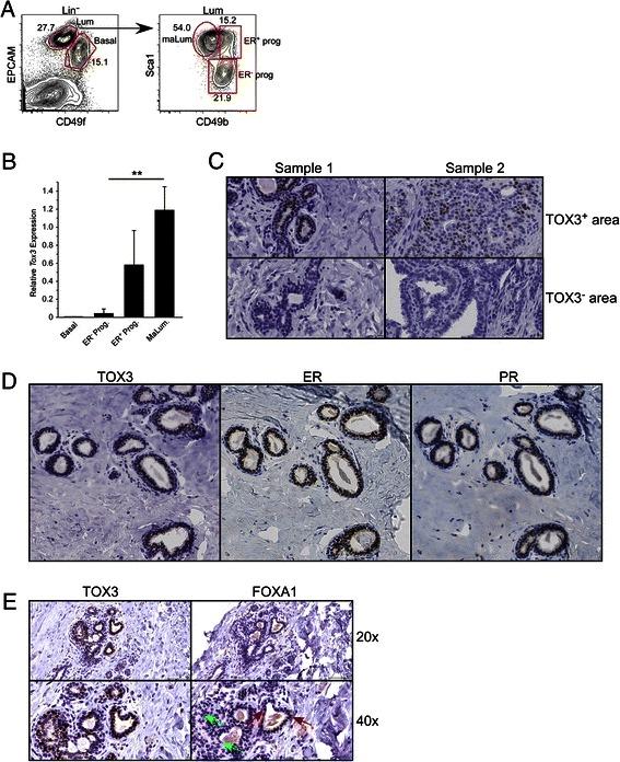 https://cdn.ncbi.nlm.nih.gov/pmc/blobs/e0e3/4324787/99b81ac60462/12885_2015_1018_Fig1_HTML.jpg