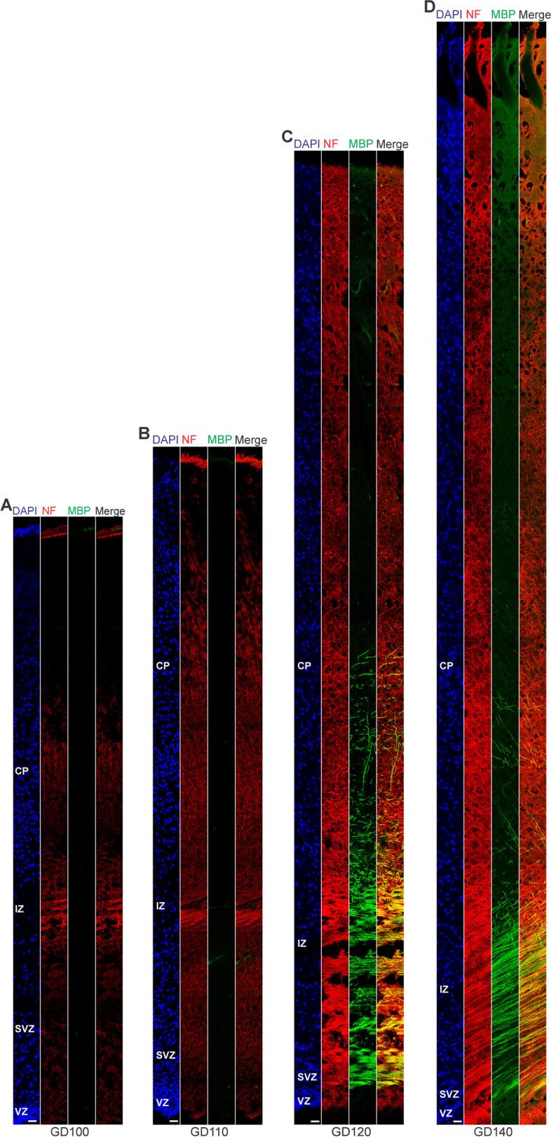 https://cdn.ncbi.nlm.nih.gov/pmc/blobs/e0e4/10571270/2628064cd925/13064_2023_175_Fig4_HTML.jpg