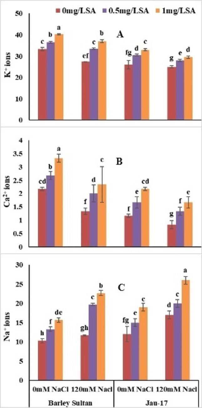https://cdn.ncbi.nlm.nih.gov/pmc/blobs/e0e6/11008038/2dac0f4400b5/12870_2024_4968_Fig6_HTML.jpg