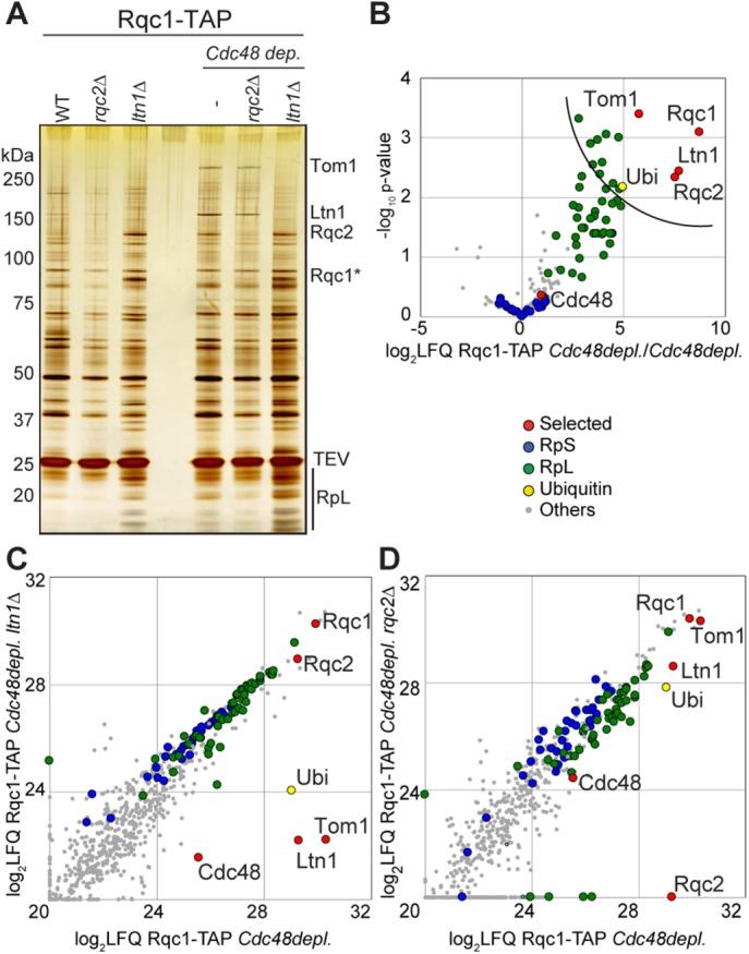 https://cdn.ncbi.nlm.nih.gov/pmc/blobs/e0e6/5415013/704b60dac4fe/1165fig5.jpg
