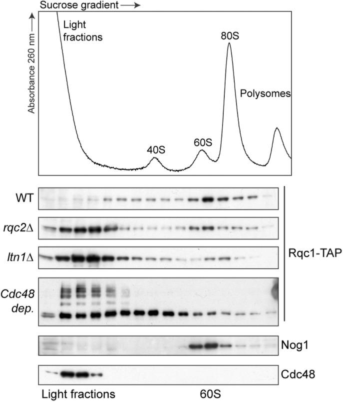 https://cdn.ncbi.nlm.nih.gov/pmc/blobs/e0e6/5415013/75f22dec11de/1165fig3.jpg