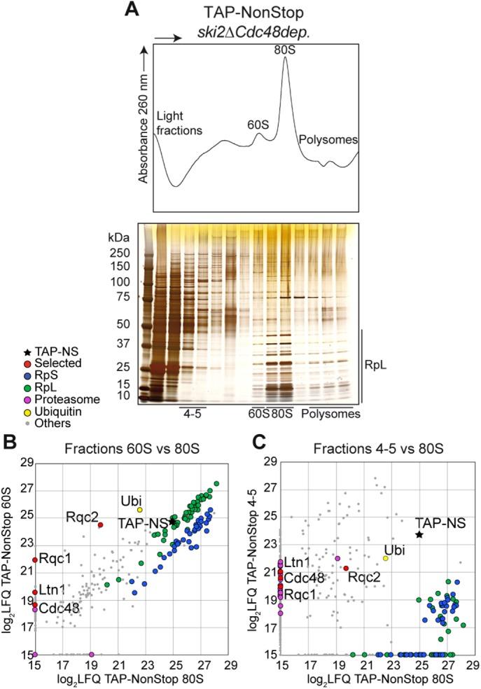 https://cdn.ncbi.nlm.nih.gov/pmc/blobs/e0e6/5415013/a564336ab044/1165fig1.jpg
