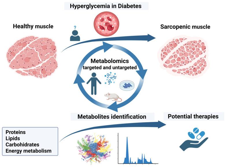 https://cdn.ncbi.nlm.nih.gov/pmc/blobs/e0e7/12347554/43a02f9341b8/ijms-26-07574-g001.jpg