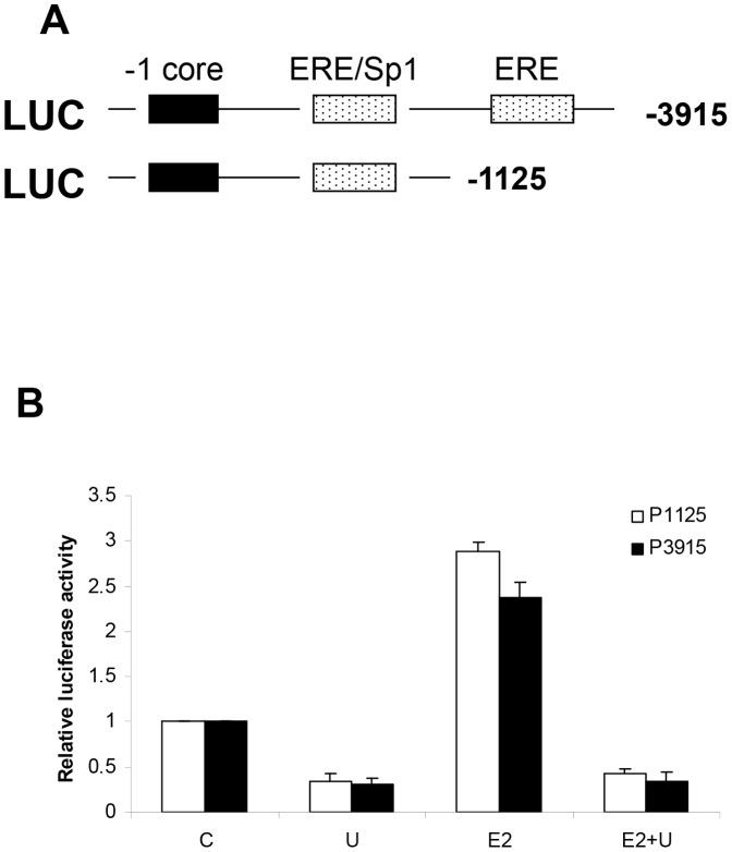 https://cdn.ncbi.nlm.nih.gov/pmc/blobs/e0ec/3567109/078c30077063/pone.0055730.g005.jpg