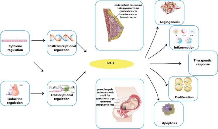 https://cdn.ncbi.nlm.nih.gov/pmc/blobs/e0ee/11153289/5330b65cc403/10565_2024_9884_Fig5_HTML.jpg