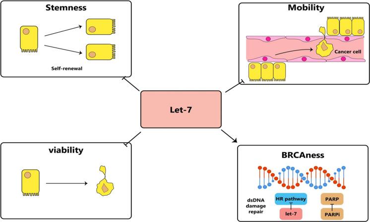 https://cdn.ncbi.nlm.nih.gov/pmc/blobs/e0ee/11153289/9b5894ca14ca/10565_2024_9884_Fig4_HTML.jpg