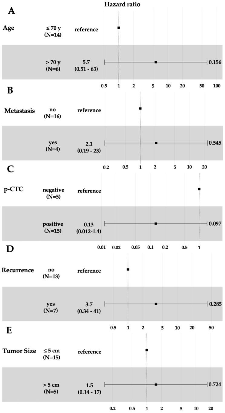 https://cdn.ncbi.nlm.nih.gov/pmc/blobs/e0ee/11720075/98ba23c046e3/cells-14-00006-g005.jpg
