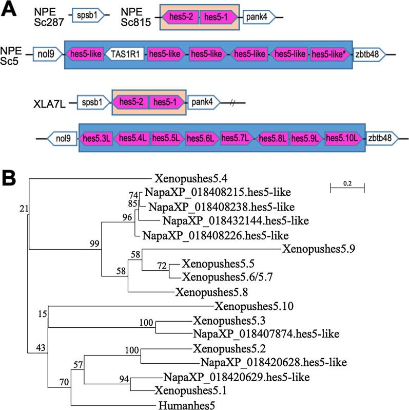 https://cdn.ncbi.nlm.nih.gov/pmc/blobs/e0ee/8320183/2cfcd805a84e/12862_2021_1879_Fig8_HTML.jpg