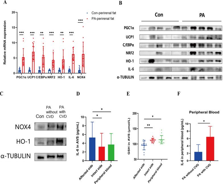 https://cdn.ncbi.nlm.nih.gov/pmc/blobs/e0ef/11916988/bb4ae691017f/12967_2025_6329_Fig2_HTML.jpg