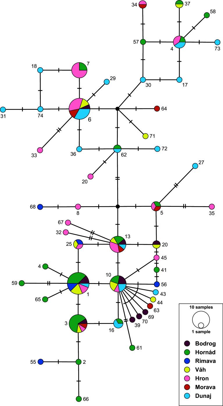 https://cdn.ncbi.nlm.nih.gov/pmc/blobs/e0f2/12021342/987d8f6b2245/parasite-32-27-fig4.jpg