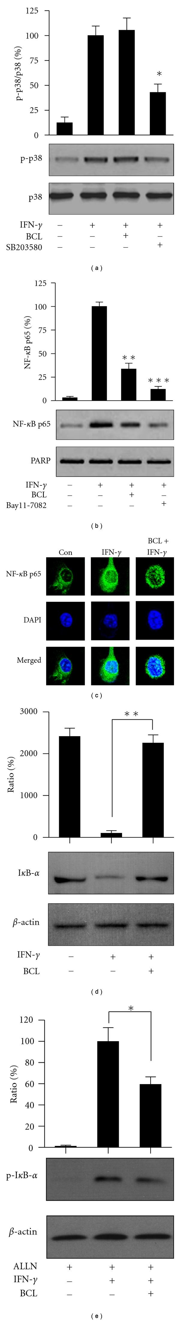https://cdn.ncbi.nlm.nih.gov/pmc/blobs/e0f2/3137989/ced3a4e9935a/ECAM2012-617494.003.jpg