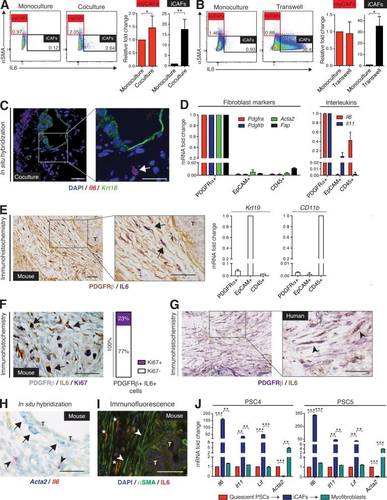 https://cdn.ncbi.nlm.nih.gov/pmc/blobs/e0f3/5339682/271b57e7d2b2/JEM_20162024_Fig4.jpg
