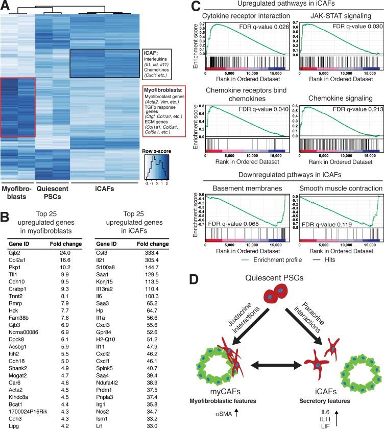 https://cdn.ncbi.nlm.nih.gov/pmc/blobs/e0f3/5339682/b05e30109dee/JEM_20162024_Fig5.jpg