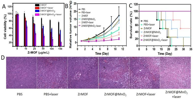 https://cdn.ncbi.nlm.nih.gov/pmc/blobs/e0f3/6568168/1383a6e80506/thnov09p2791g007.jpg
