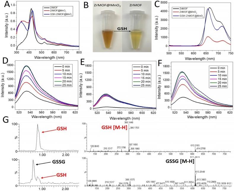 https://cdn.ncbi.nlm.nih.gov/pmc/blobs/e0f3/6568168/48fdabddc6b3/thnov09p2791g004.jpg