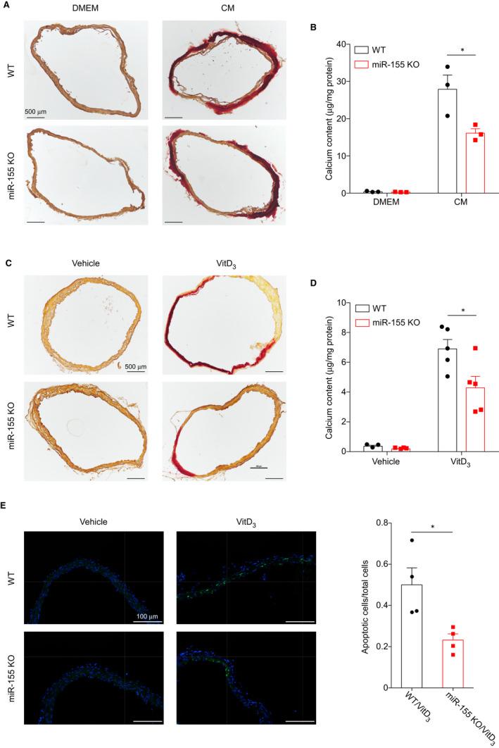 https://cdn.ncbi.nlm.nih.gov/pmc/blobs/e0f3/7810936/912c4860b62b/JCMM-25-535-g004.jpg