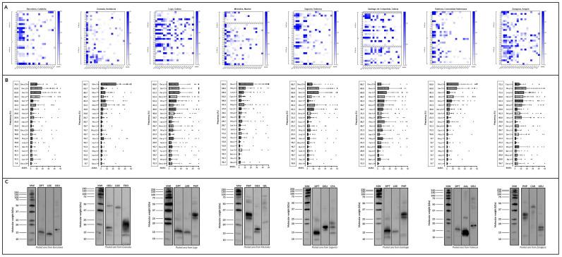 https://cdn.ncbi.nlm.nih.gov/pmc/blobs/e0f5/11988508/3f1729012359/ijms-26-02963-g004.jpg