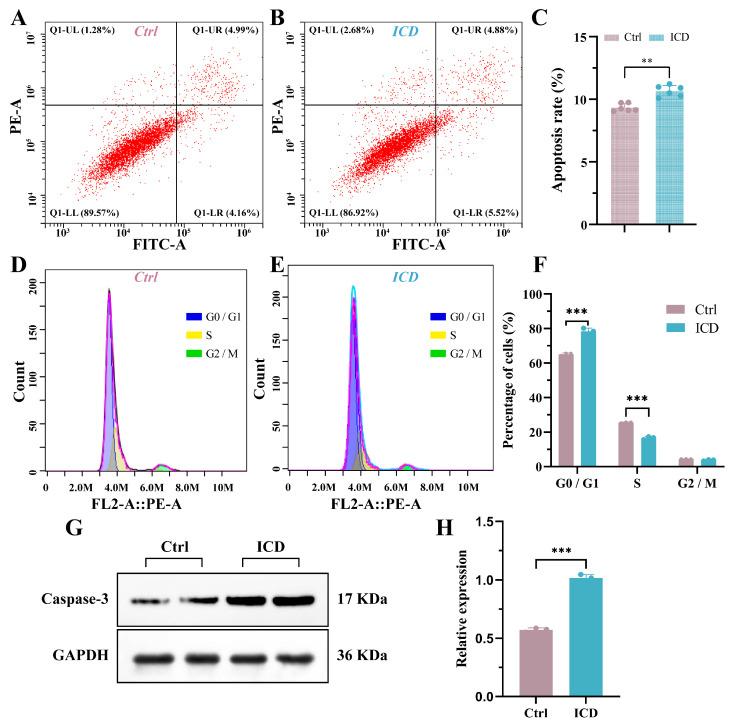 https://cdn.ncbi.nlm.nih.gov/pmc/blobs/e0f6/10814041/b651c5ed26c3/cimb-46-00042-g005.jpg