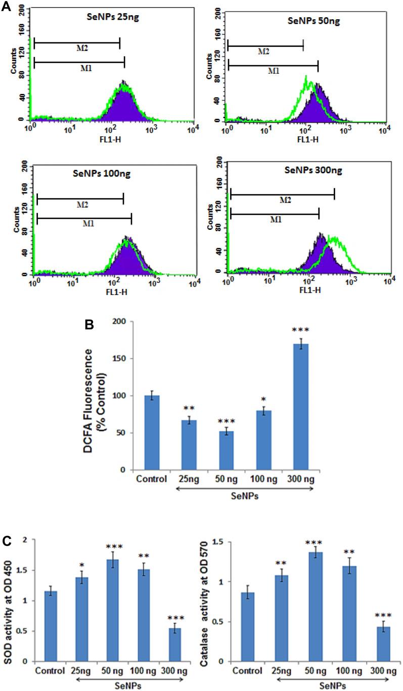 https://cdn.ncbi.nlm.nih.gov/pmc/blobs/e0f8/7814244/35cbd5f7ae31/IJN-16-331-g0006.jpg