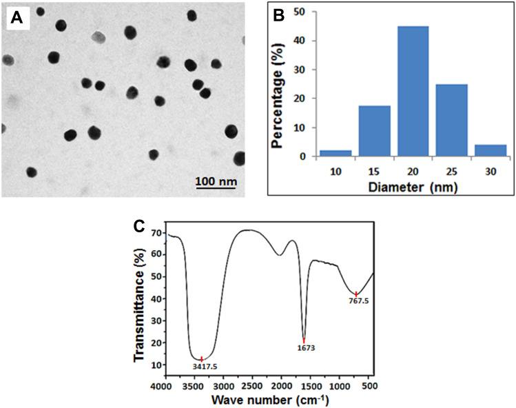 https://cdn.ncbi.nlm.nih.gov/pmc/blobs/e0f8/7814244/4dc198be09f5/IJN-16-331-g0001.jpg