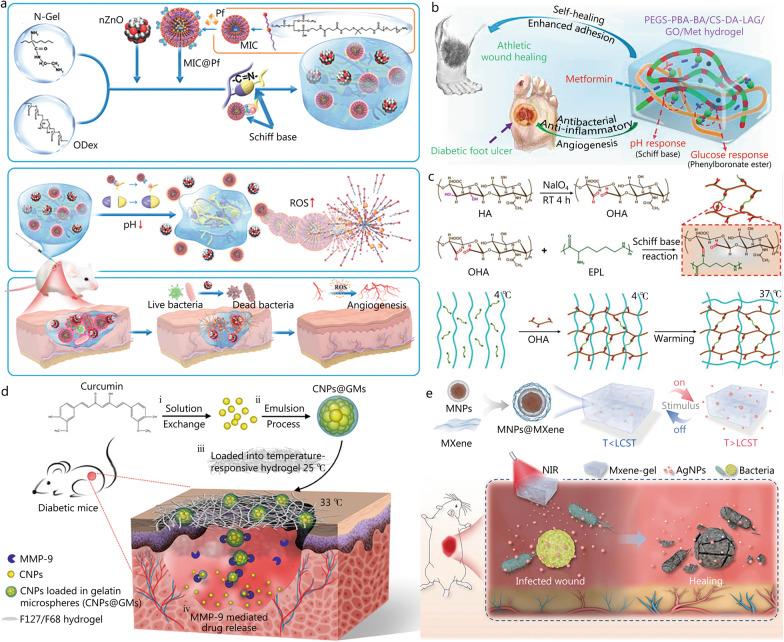 https://cdn.ncbi.nlm.nih.gov/pmc/blobs/e0fb/10463485/0a40f6fdf580/40779_2023_473_Fig8_HTML.jpg